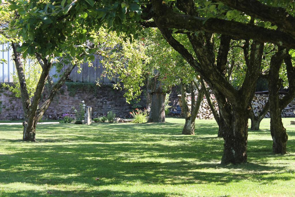 Bed and Breakfast Le Lavoir Peintre Exterior foto
